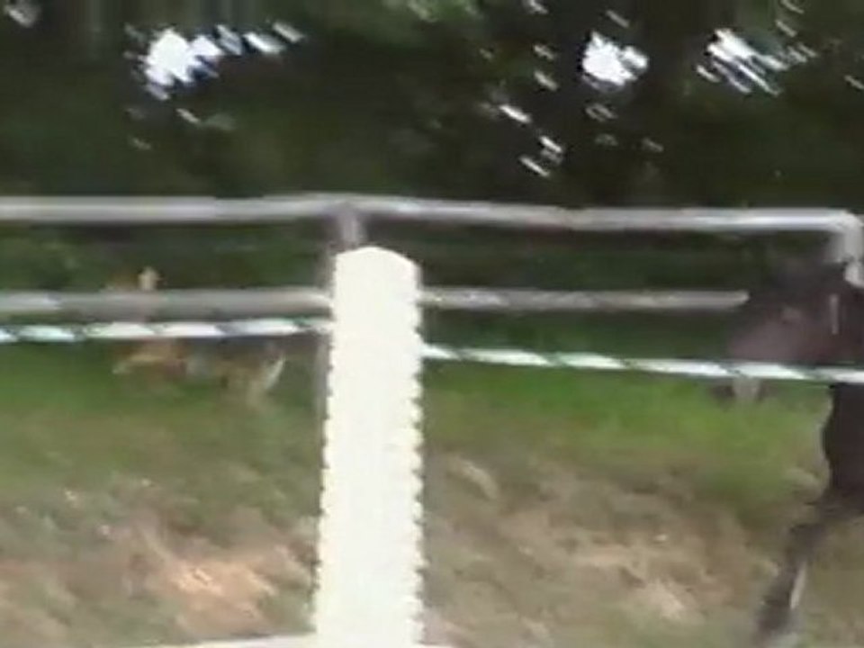 Ulysse, saut en liberté