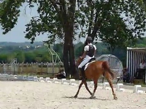 Dressage Maisons Laffitte 4 juin 2011