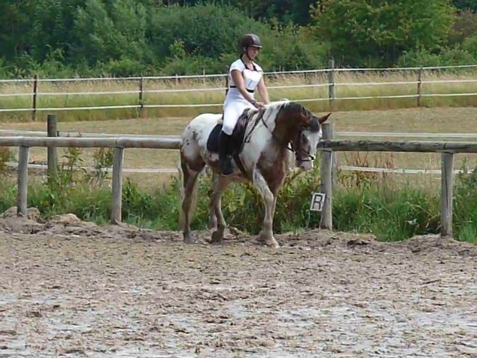 dressage CCE Club 3