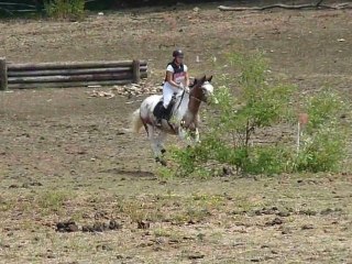 Cross CCE Club 3 ASPTT