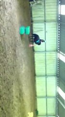 thomas cheval juin 2011 019