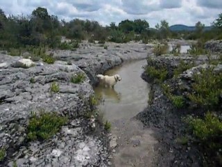 Baignade en Ardèche