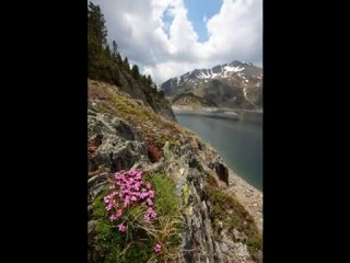 Immobilier dans les Pyrénées orientales