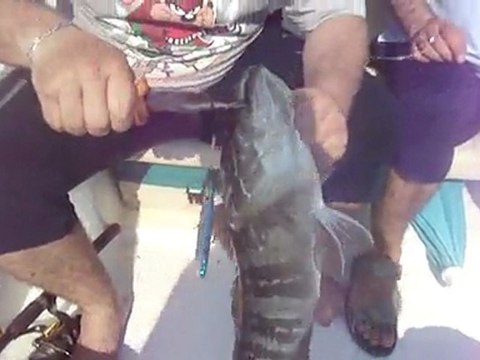 ANTALYA ADRASAN BALIK AVI TURUNDA JIGGING İLE LAGOS AVI - adrasanbalik.com