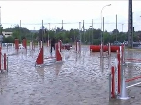 Vodka Concours ECV Jumping +