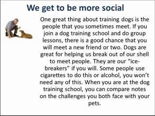 The Main Benefits of Dog Training
