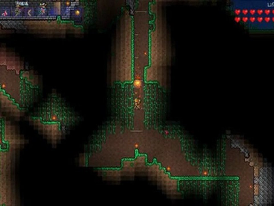 Vidéotest Terraria