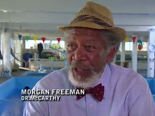 Dolphin Tale Featurette