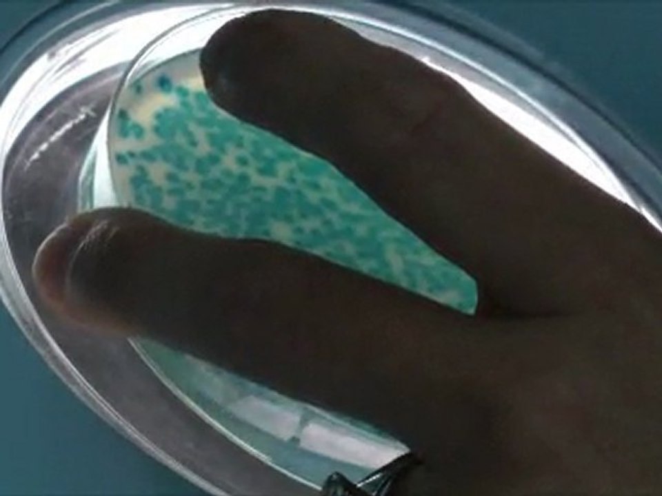 025112_30fps 1080p HD