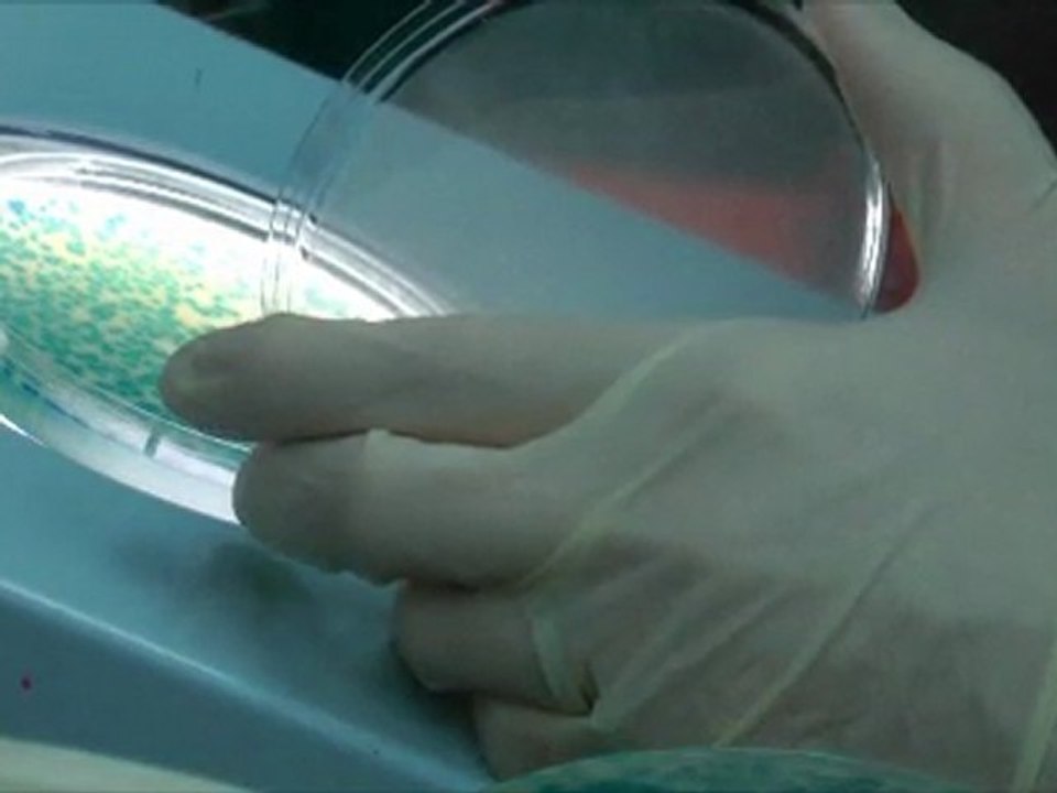 025119_30fps 1080p HD
