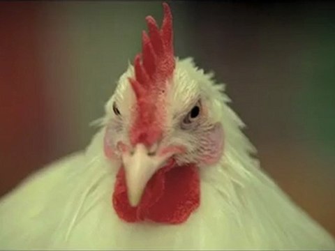 Samsung Galaxy S 2 Super Amoled Plus