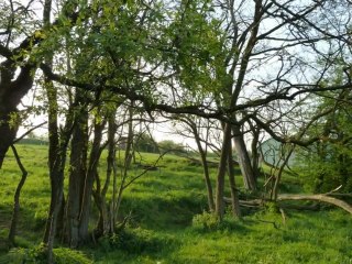 année 2011 - mois d'avril - nº 20