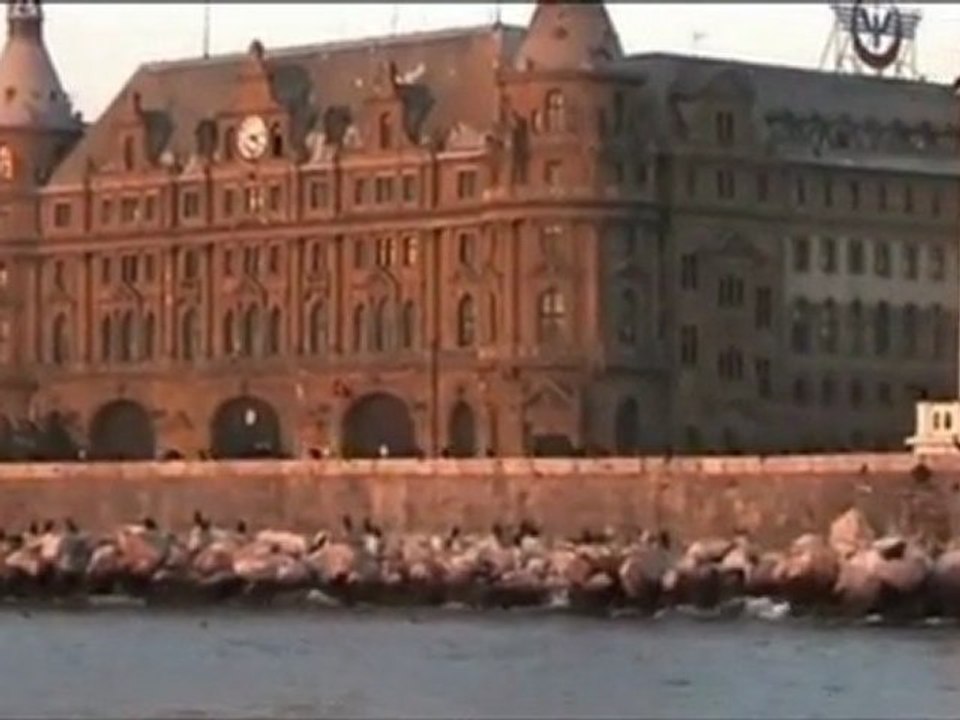 ISTANBUL'S - Céline