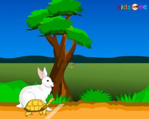 Tortoise and Rabit - Running Race - Hindi Animated Stories