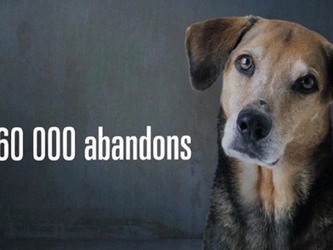 30 Millions d'Amis - Campagne contre les abandons