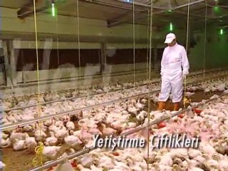 Beypiliç Tanıtım Filmi