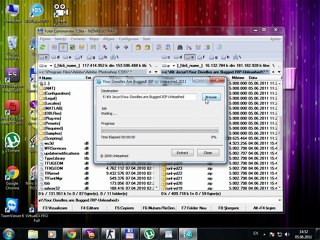instalare joc Your Doodles are Bugged