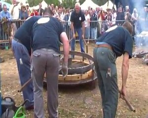 Aux Marais : la fête de l'âne a de nouveau séduit les visiteurs