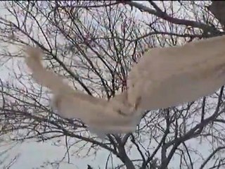 Annemin Gelinliği - My Mother's Wedding Dress (2008)