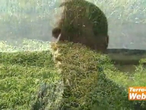 Solutions concrètes face à la sécheresse - Julien Greffier, Gnis « Il ne va pas falloir attendre longtemps pour commander des semences fourragères » partie 1