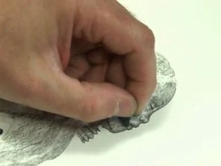 Agence 202 dessin et vecteur