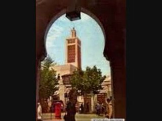 TLEMCEN. CHIKH LARBI BENSARI