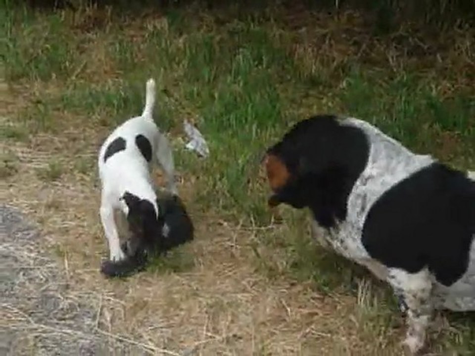 inspecteur Bao & sa partenaire Félicie enquêtent