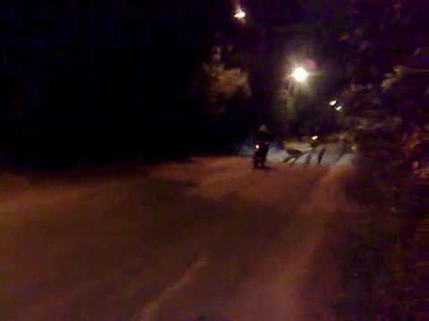 Sherco-Hrd 87 Top performance vs Honda Cbr 125 ligne pro gun et autre..