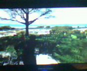 ★☆Vidéo Délire Red Dead Redemption en compagni de Geoffrey★☆