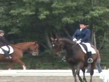 Dressage Amateur 3 Grand Prix Vigneux de Bretagne