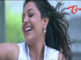 Comedy Scene - Between Cute Kajal -Navadeep