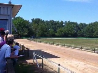 "FINALE" Barzois femelles Munster 2011