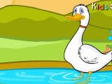 Five Little Ducks - Nursery Rhymes - English Animated Rhymes