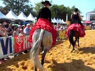 SAM_1402 Euroféria  espagnoles