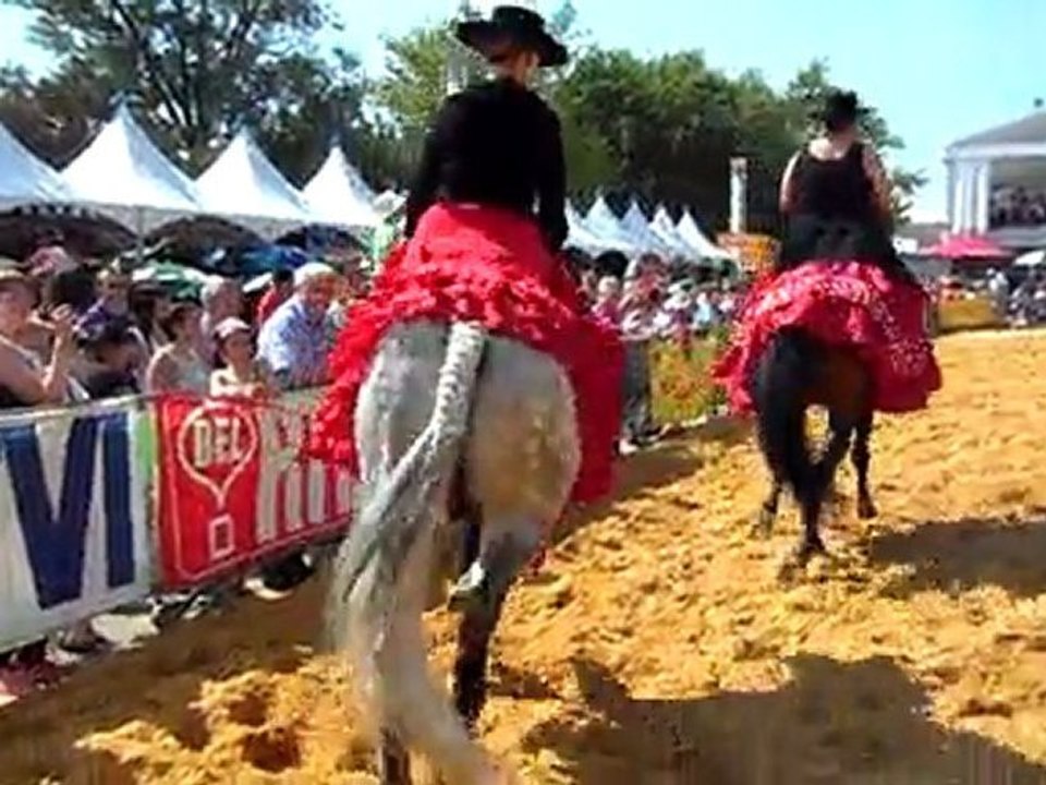 SAM_1402 Euroféria  espagnoles