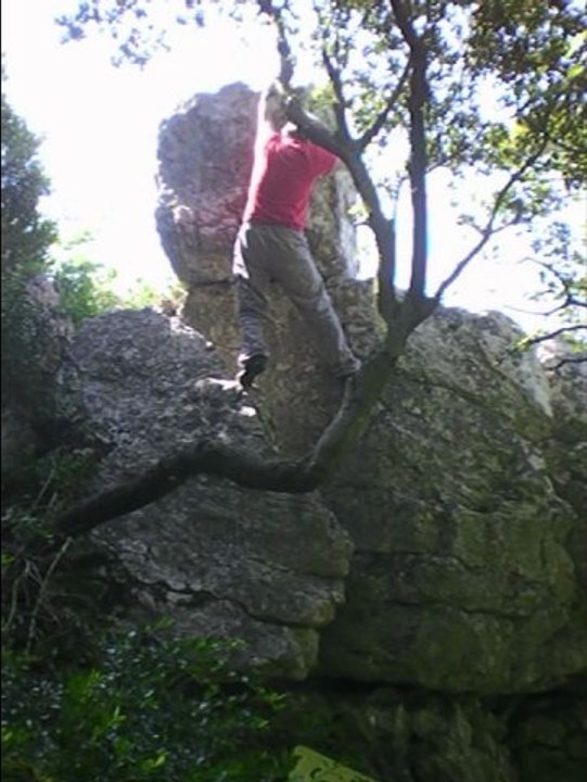 le dé