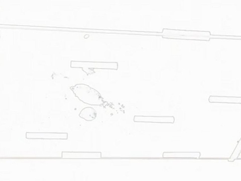 Snails ...the race is on - carrera de caracoles