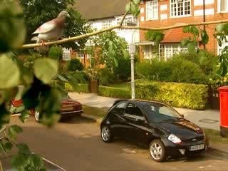 Humour Pub Ford Ka
