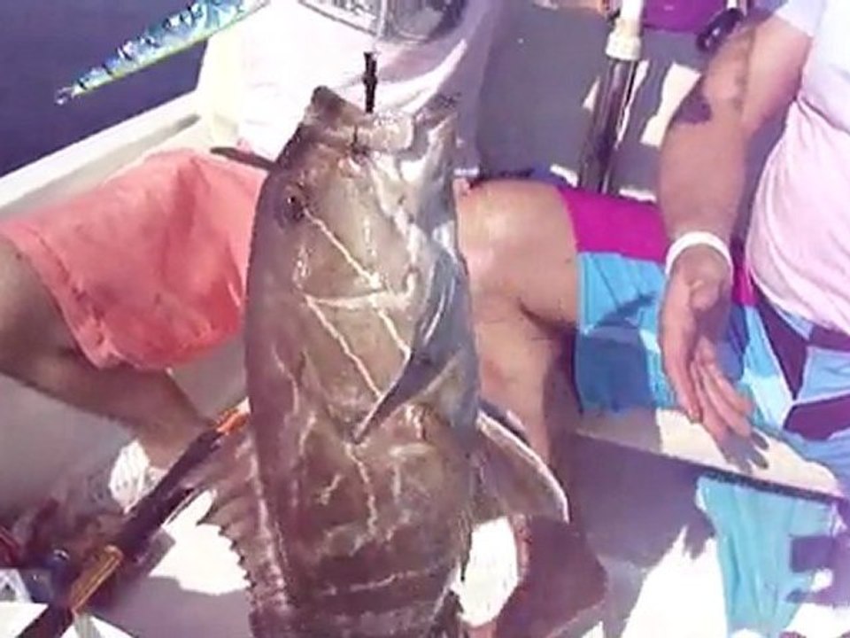 Antalya Adrasan Balık Avı TuruNDA Jigging ile Lagos Avı - www.adrasanbalik.com