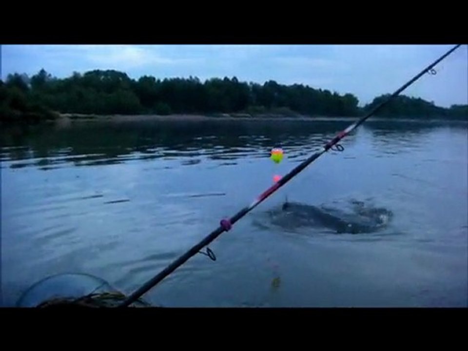 silures de loire part2 team silure 41