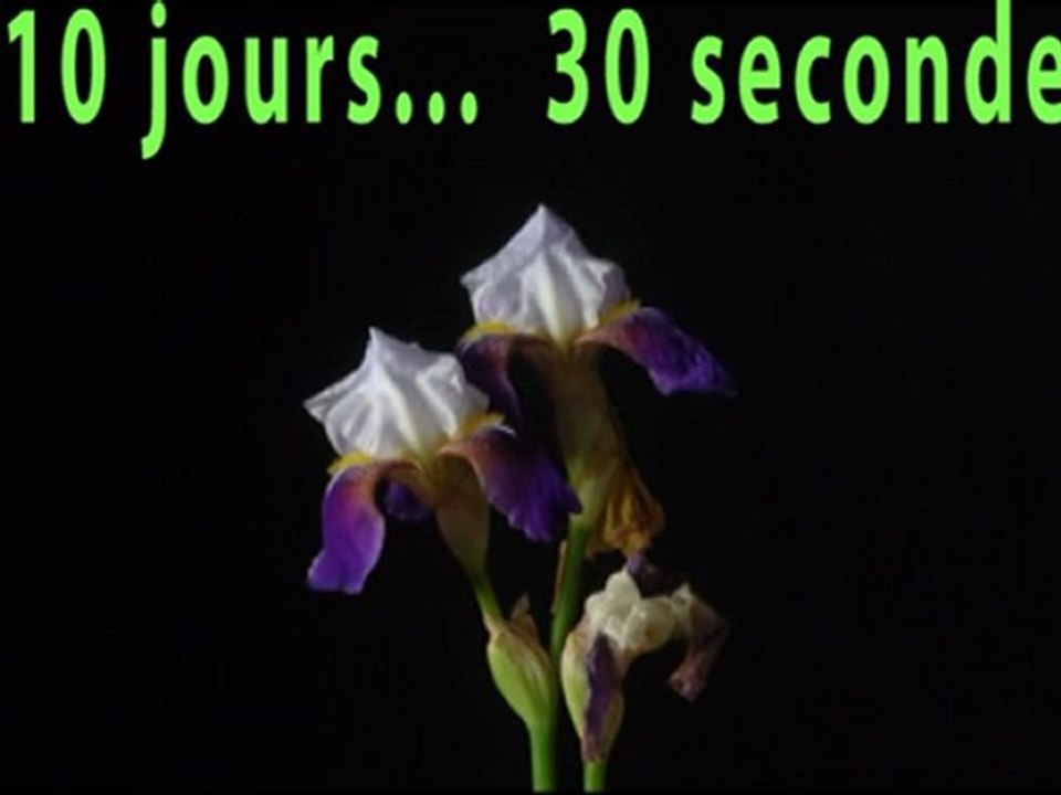 1006_10Jours30Secondes