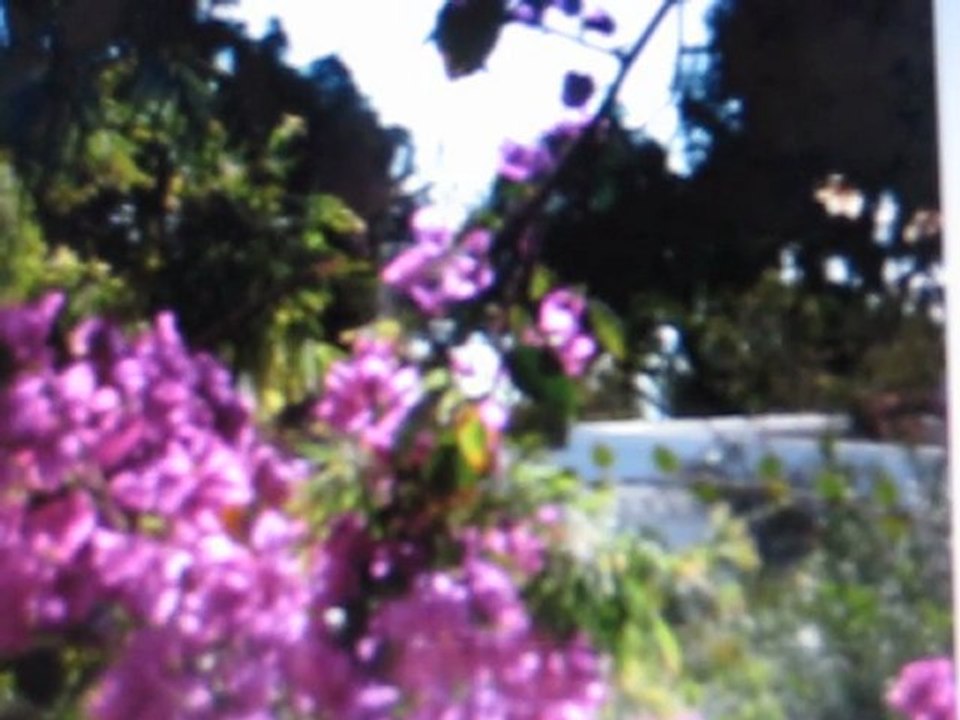 La maison près de la fontaine de Nino Ferrer-mp4