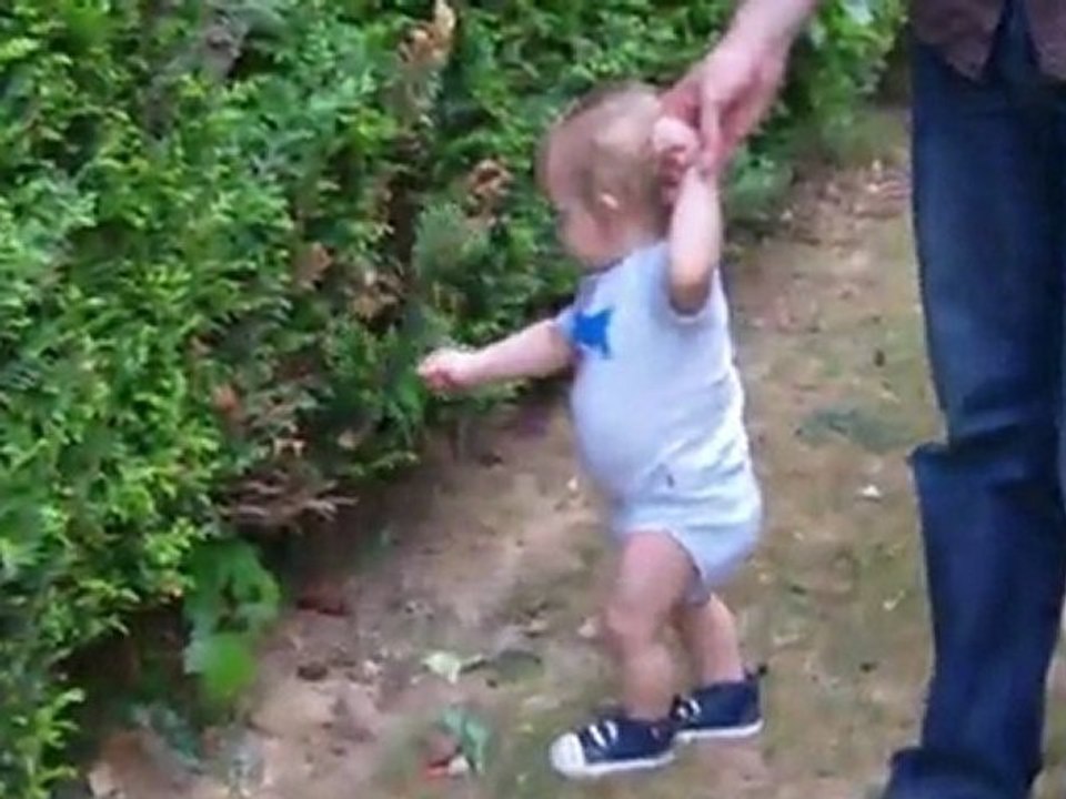 Lulu explore le jardin
