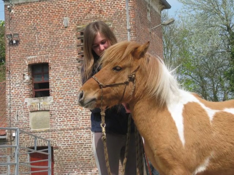 Caraavrilmai