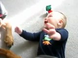 Bebê cai na risada brincando com cão Rottweiler