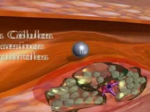 Factores de Transferencia