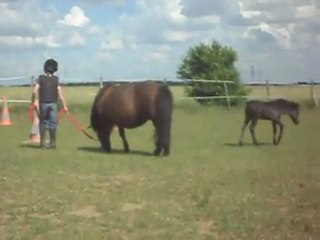 Pouliche 13 jours découverte terrain de jeux.