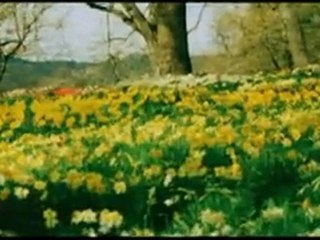 Tum Dil Ki Dhadkan Ho (Dhadkan)