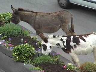 Nettoyage de printemps