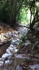 Olimpos Antik Kenti